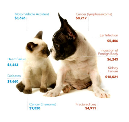 pet insurance texas